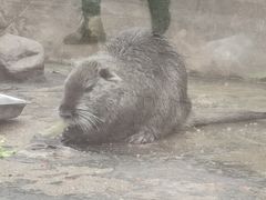 -南昌动物园