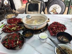 -蘑统田下·野生菌火锅