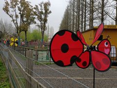 -前小桔亲子创意农场·草莓采摘·露营烧烤