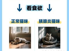-哆趣宠物医院·眼科·内镜·急重症转诊中心(上海店)