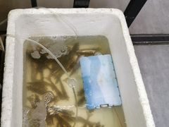 -阿杰臻选海鲜饭店(普陀山店)