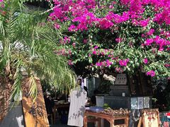 -海韵人家.海景花园经典云南菜(双廊店)