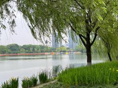 -杭州城北体育公园