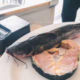 老刘铁锅炖鱼｜传承六代人的铁锅炖