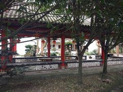 -郫都区农科村景区