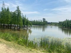 -白鹭湾湿地公园