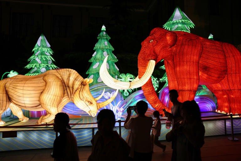 8月限定的博物馆之夜来啦[色]快来打卡吧