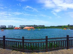 -上海长兴岛郊野公园