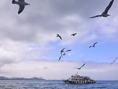 -刘公岛景区