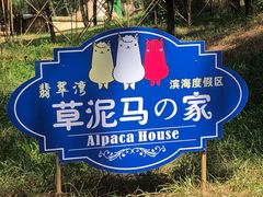 -六鳌翡翠湾滨海度假景区