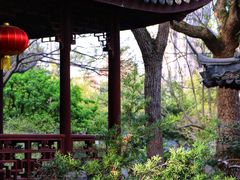 -上海醉白池公园
