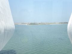 -贝林大翅鲸简餐厅(国家海洋博物馆店)