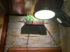 -愿者上钩·纸包鱼(翻身店)