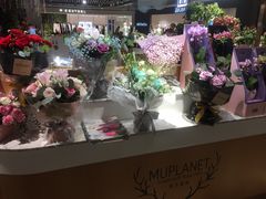 -LOL原创生活概念店(K11购物艺术中心店)