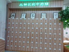 -广西壮族自治区药用植物园