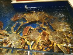 -海景壹号大酒店(滨湖店)