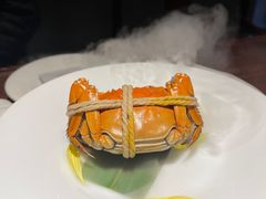 -觀芷隐轩