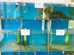 -火娃菜馆(新岭花园1期店)