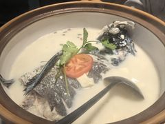 -全乐鱼馆·淳牌有机鱼直营店