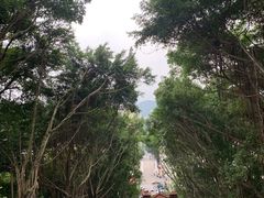 -郑和公园