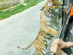 -西安秦岭野生动物园