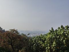 -火炉山森林公园
