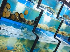 水产区-老东镇啤酒屋海鲜加工·蒸汽海鲜·海鲜烧烤(台东店)