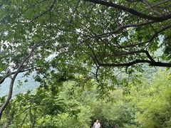 -香山公园