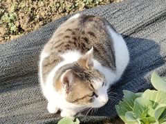 -重元寺香积厨素斋馆