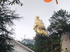 -大金鹰园