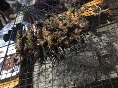 -杨婆婆烤肉(文昌阁店)