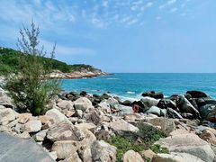 -广东惠东海龟国家级自然保护区