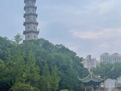 -江心屿景区