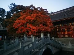 -香山公园
