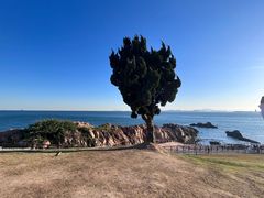 -小麦岛公园