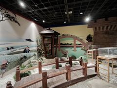 -上海动漫博物馆