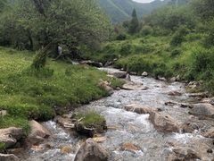 -兰州吐鲁沟国家森林公园