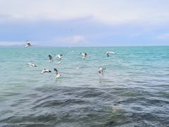 -青海湖二郎剑景区