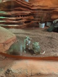 -Zoolung Zoolung动物主题公园(海信广场店)