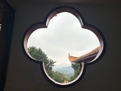 -深圳仙湖植物园