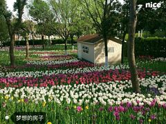 -大宁灵石公园西门票处