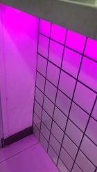 -So·So卡凡 