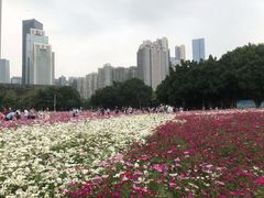 -海心沙亚运公园
