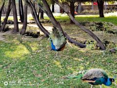 -安立路(地铁站)