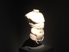 -金沙遗址博物馆