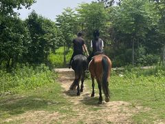 -太阳岛度假酒店