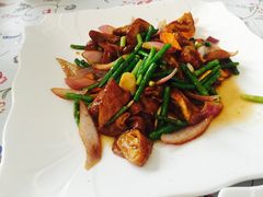 -水库活鱼馆(于桥水库店)