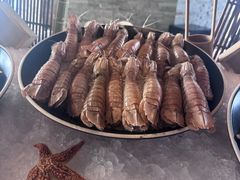 -锦厨国际自助餐厅 · 云端景观 (昆明索菲特大酒店)