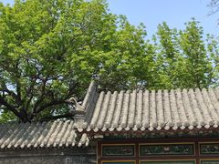 -张学良旧居陈列馆