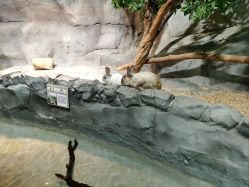 -Zoolung Zoolung动物主题公园(海信广场店)